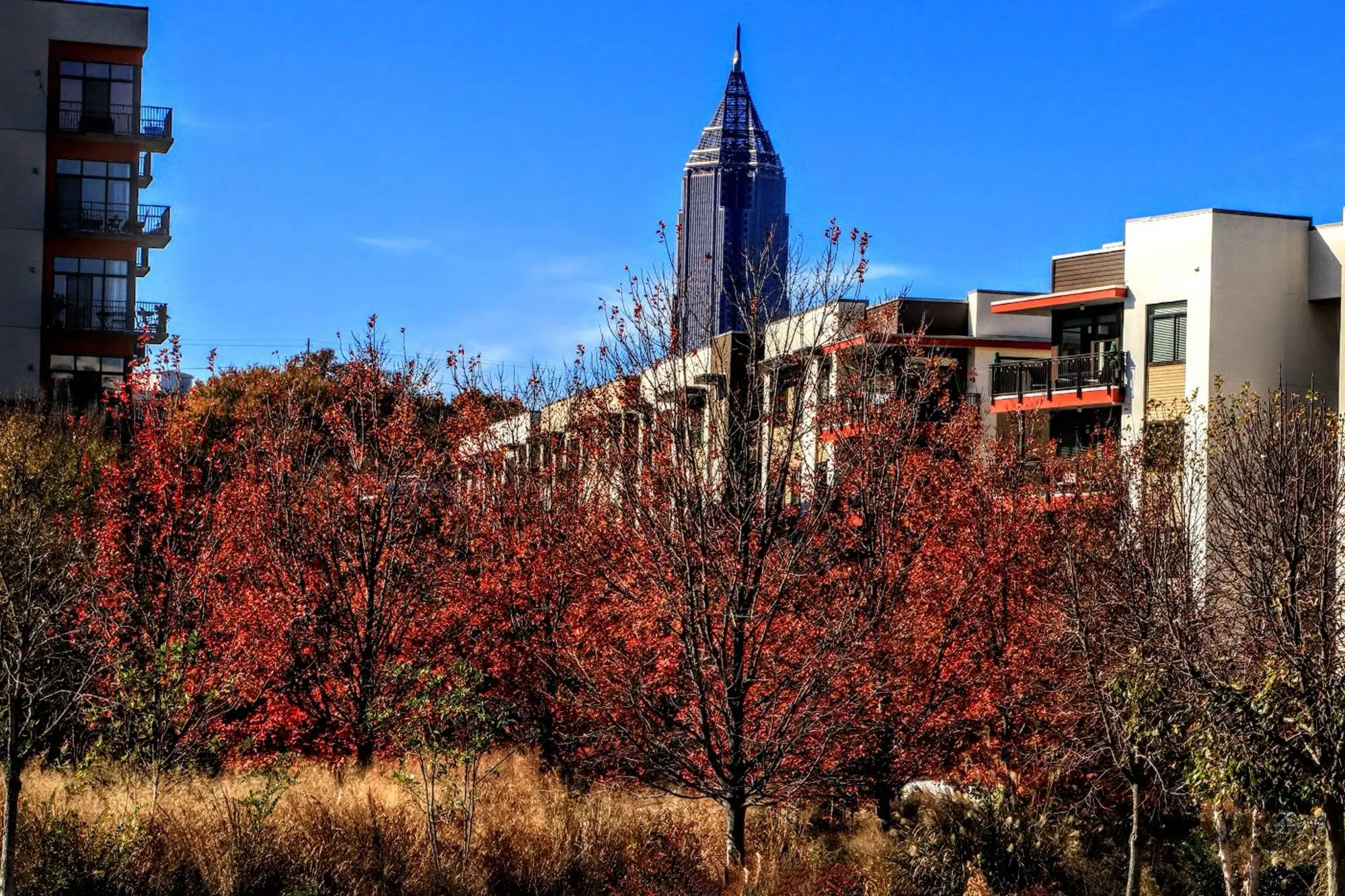 Tenant Evictions in Atlanta, GA: The Smart Landlord's Guide to Protecting Your Rental